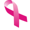 Program profilaktyki raka piersi